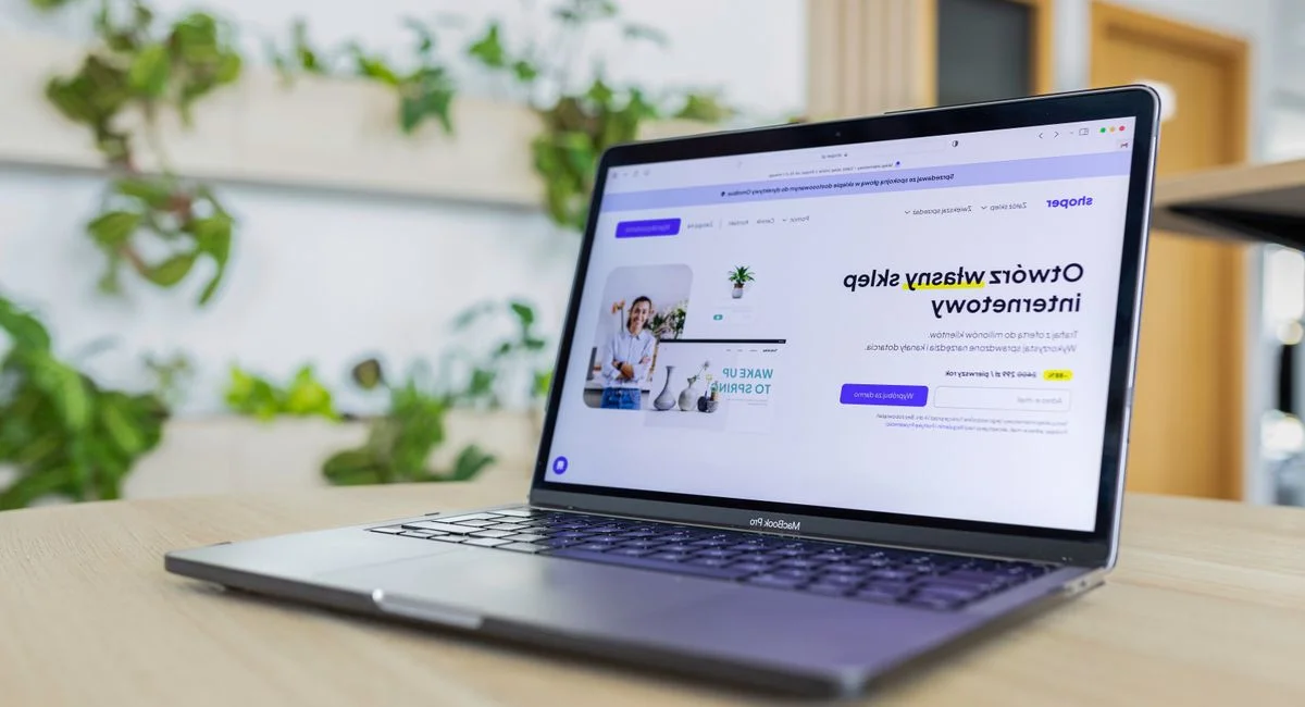 Illustration, investir dans une start up avec anaxago