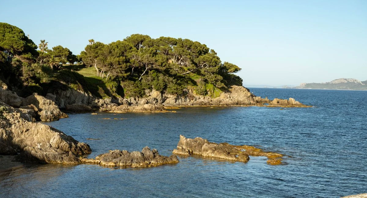 Illustration, seminaire hyeres